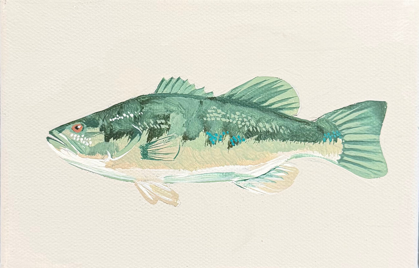 Smallmouth Bass