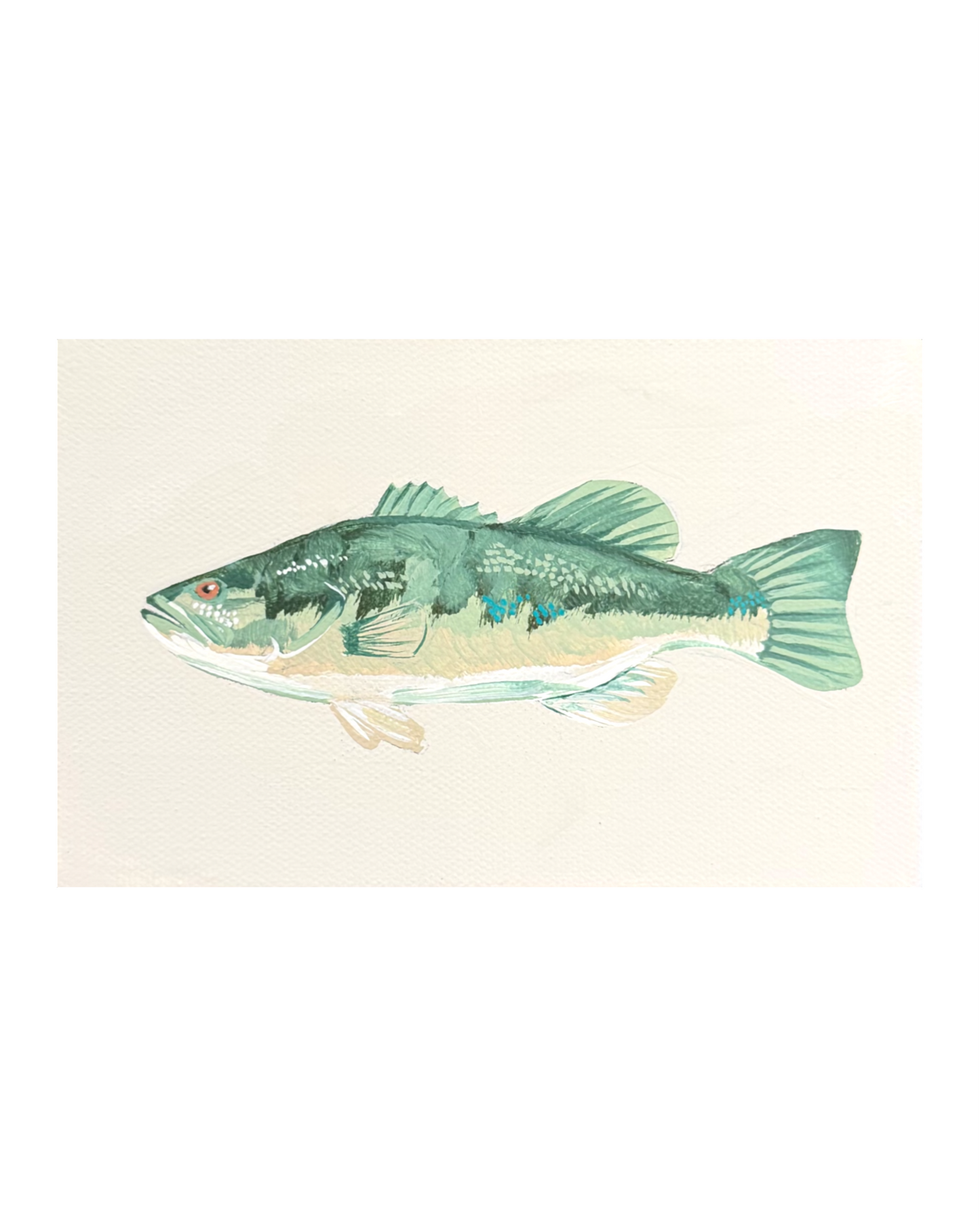 Smallmouth Bass