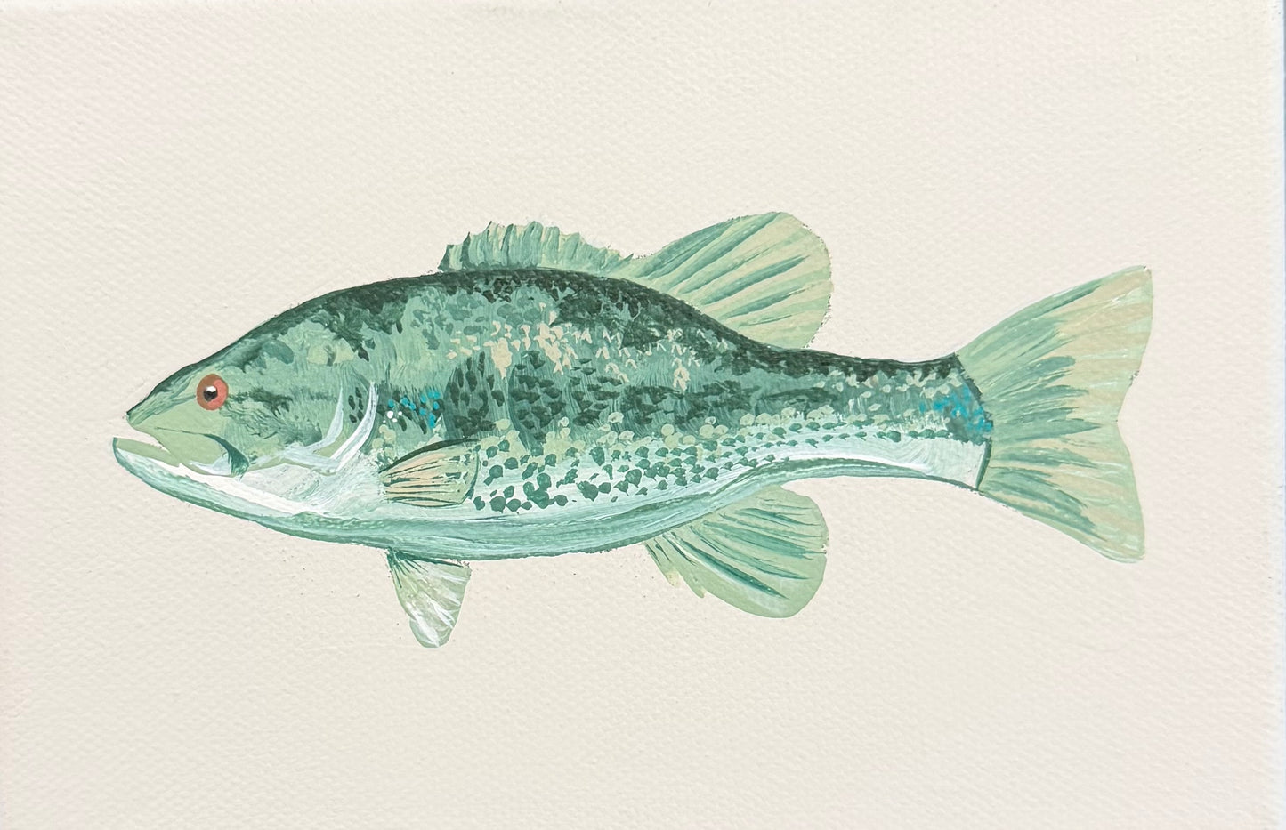 Largemouth Bass