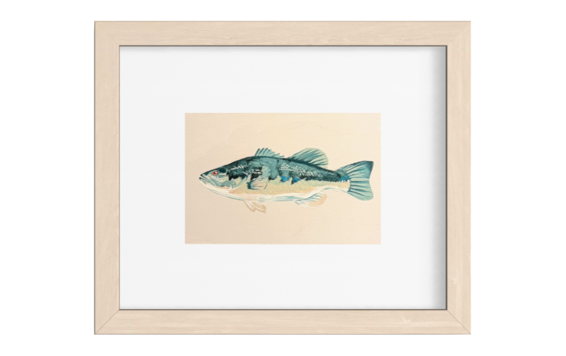 Smallmouth Bass Art Print