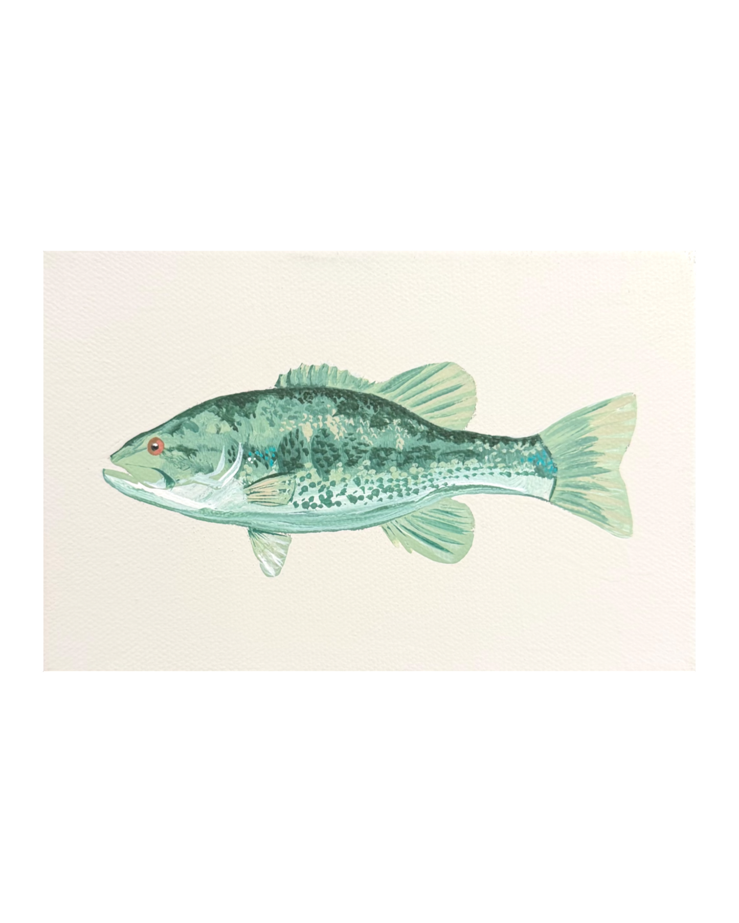 Largemouth Bass